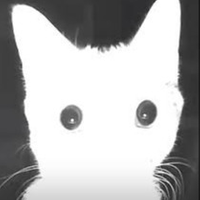 Himura