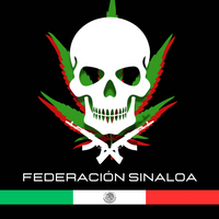 701Guzman