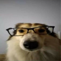 xNowz