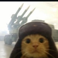 Ghos cat