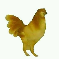 Elpoyo