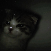 Katz