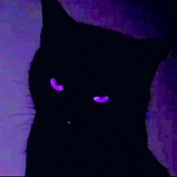 YHS-purple