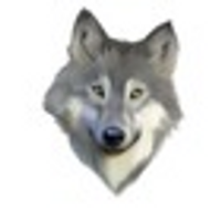 GreyWolf
