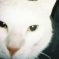 cenfe666