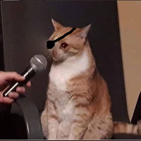TaigaJr
