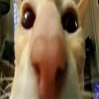 JorgitoOP