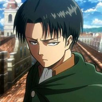 Levi