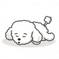 caniche18