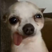 Javieer