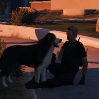 shield_es