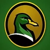 P4T0