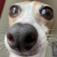 Maximus360