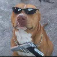 DariusCD06