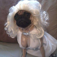 Normita