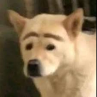 JosepRR