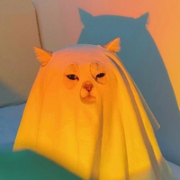 BosstedS2