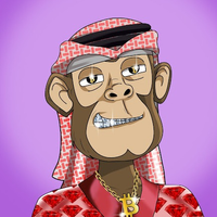 Arabic Monckey