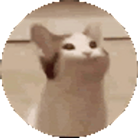chadou1