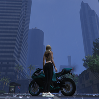 iris123