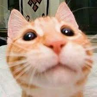 moccaxi