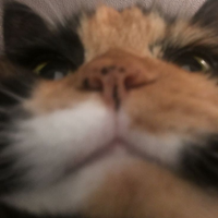 martinchu
