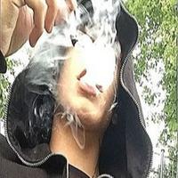 danproplayer