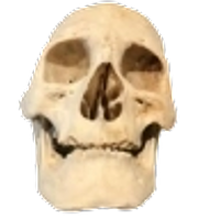elnuniz