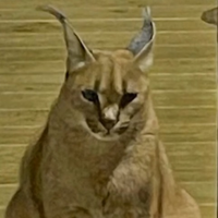 cuitomaika777
