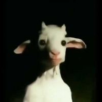 layon