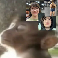 danzacuduro