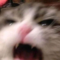 Dyuxuy