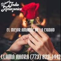 botanicaindioamazonico
