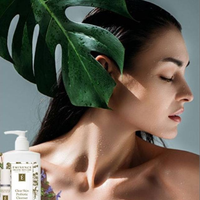 elitechicagospa